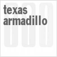Texas Armadillo_image