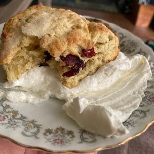 Easy Clotted Cream_image
