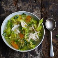 Poached chicken and vegetable soup_image
