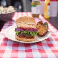 All American Backyard Burger_image