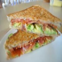 Spicy Grilled Bacon and Tomato Sandwich With Avocado_image