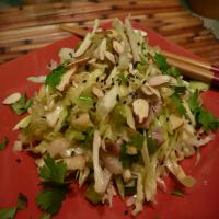 Chinese Chicken Salad with Tangy Dressing_image