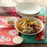 Asian Chicken and Cabbage Salad image