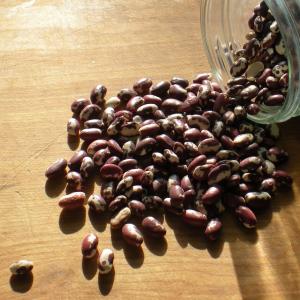 How to Make a Simple Pot of Anasazi Beans image