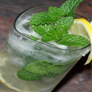 Carolina Veranda Lemonade (Alcoholic)_image