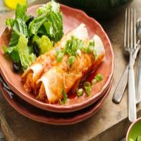 Easy Creamy Chicken Enchiladas image