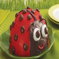 Ladybug Cake image