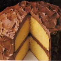 Yellow Fluffy Layer Cake By Freda_image