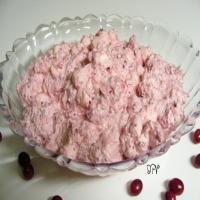 Christmas Cranberry Salad Recipe - (4.7/5)_image