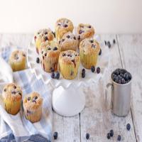 Starbucks Blueberry Muffins_image