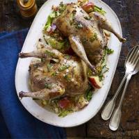 Pot-roast pheasant with cider & bacon image