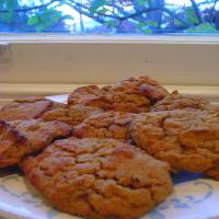 South African Ginger Cookies_image
