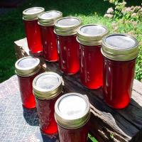 Fireweed Jelly image