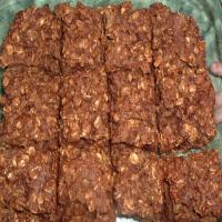 Ginger Oat Cookies (no White Sugar Added) image