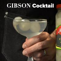 Queen's Gambit Gibson Cocktail Recipe by Tasty_image