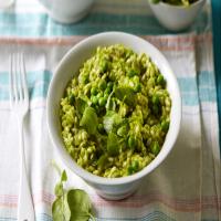 Green pea risotto recipe_image