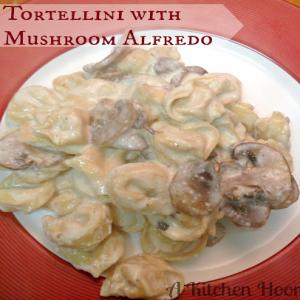 Tortellini with Mushroom Alfredo Sauce Recipe - (4.4/5)_image