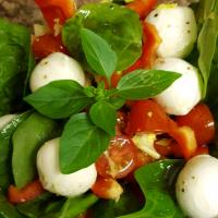 Bocconcini Salad image
