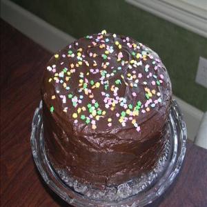 Hanukkah Gelt Double Fudge Chocolate Layer Cake_image