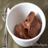 Vitamix chocolate sorbet Recipe - (4.5/5) image