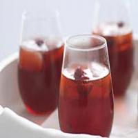 Sparkling Raspberry-Cranberry Punch_image