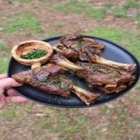 Beer and Herb Braised Lamb Shanks_image