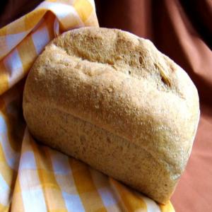 Terrific Whole Wheat in the Breadmaker!_image
