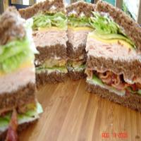Redneck Club Sandwich_image