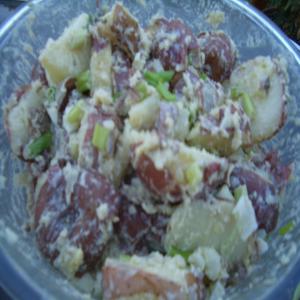 Potato Anchovy Salad_image
