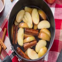 Apple Cinnamon Crock Pot Potpourri image