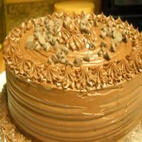 Double Chocolate Stout Cake_image