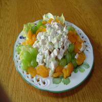 Mandarin Chicken Salad with Orange Juice Dressing_image