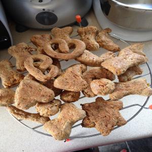 Homemade Healthy Dog Treats with Carrot and Parsley_image