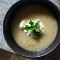 Chayote Soup image