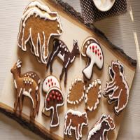 Honey-Spice Gingerbread Cookies image