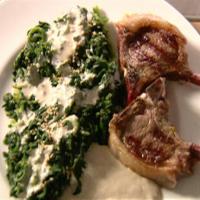 Lamb with Spinach and Garlicky Tahini Sauce image