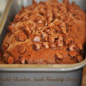 amish friendship bread creations image