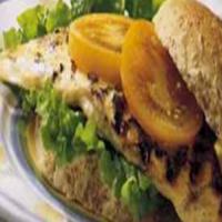 Grilled Honey-Mustard Turkey Sandwiches image