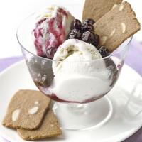 Balsamic blueberries with vanilla ice cream image