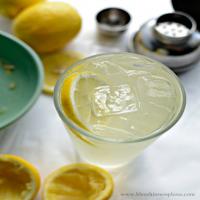 Easy Lemonade Shake Ups Recipe - (4.4/5)_image