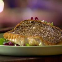 Seared Black Bass with Bitter Greens, Grapefruit and Feta Salad_image