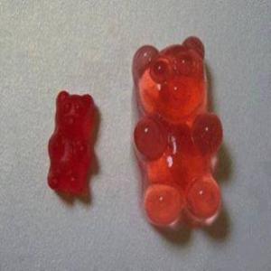 Gummy Bears shots_image