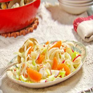 Crunchy Fennel Orange Salad_image