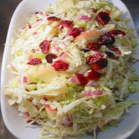 Coleslaw With Apples & Dried Cranberries_image