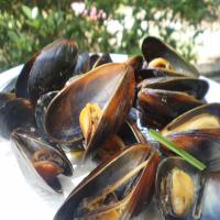 Karen's Smooth French Milk Mussels_image