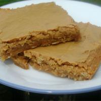Peanut Butter and Oat Brownies image