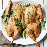 Butterflied Juniper-Brined Roasted Turkey with Compound Butter image