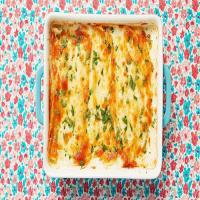 Try This White Chicken Enchilada Recipe for a Creamy and Delicious Dinner_image