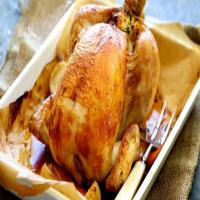 Classic roast chicken with bread and butter stuffing_image