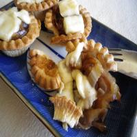 Caramelized Onion and Brie Tarts_image